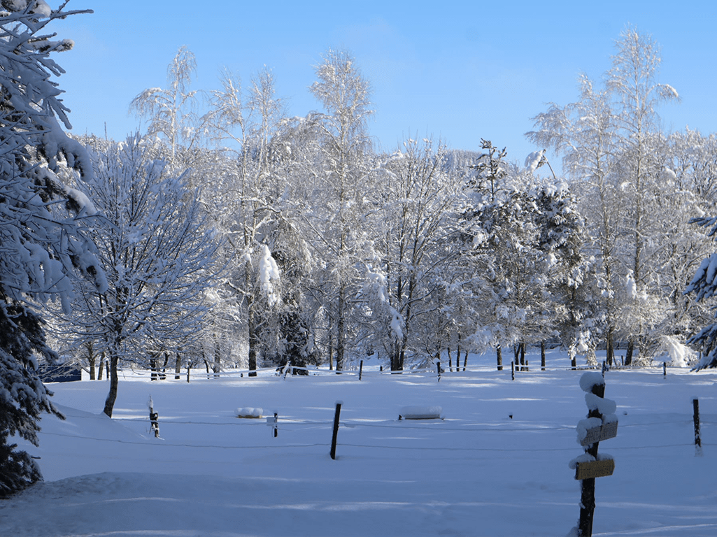 C'est aussi beau ...